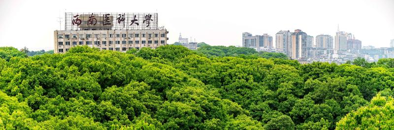 西南医科大学封面